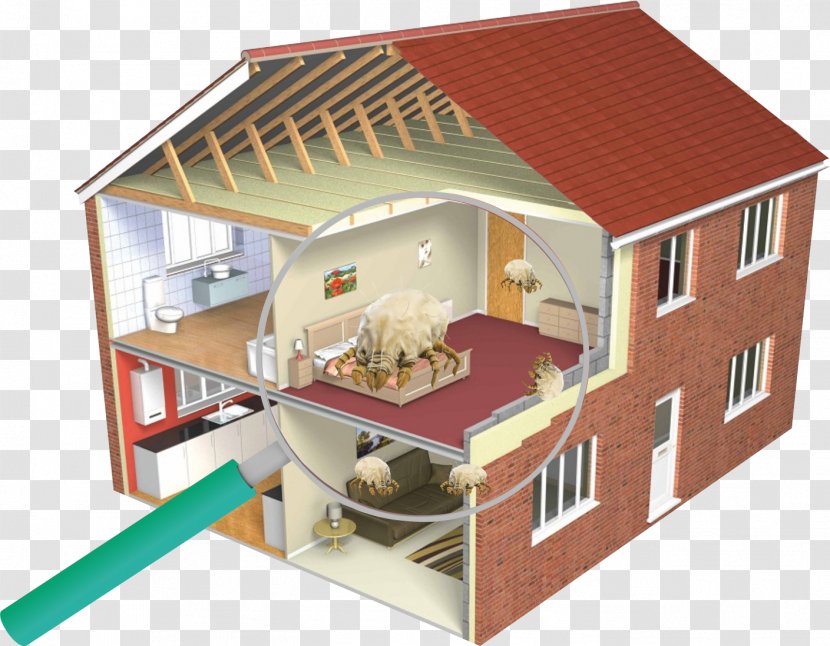 Energy Conversion Efficiency Building House Conservation - Real Estate Transparent PNG