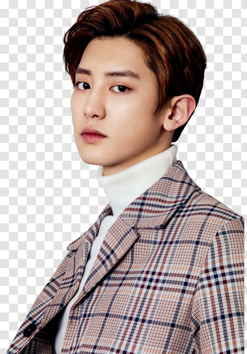 Irene EXO-K Korean Language K-pop - Red Velvet - Chanyeol Pennant Transparent PNG