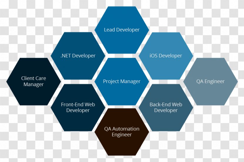 Enterprise Resource Planning Software Development Organization Business Management - System Transparent PNG