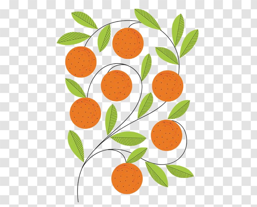 Fruit Graphic Design Art Illustrator Illustration - Printmaking - Orange Pattern Transparent PNG