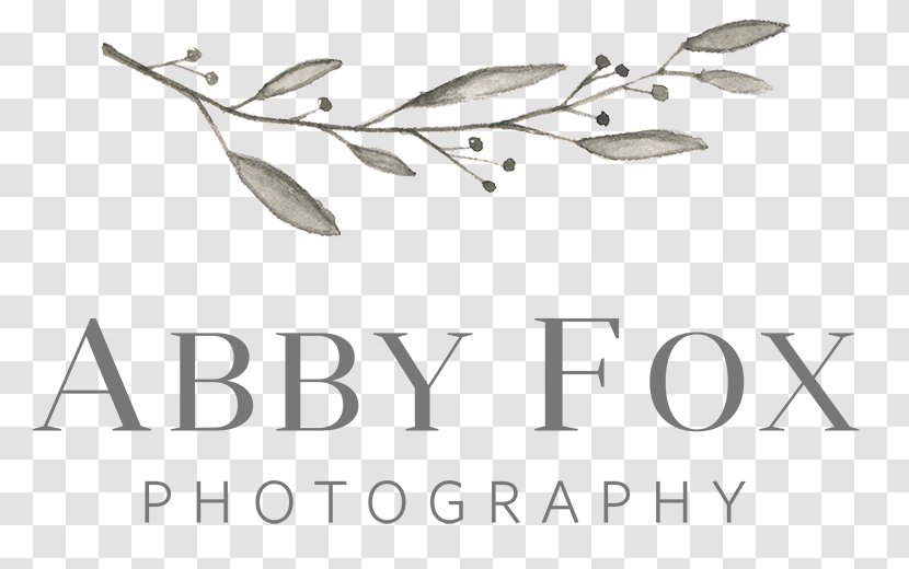 Abby Fox Photography Photographer Wedding Engagement - Portrait Transparent PNG