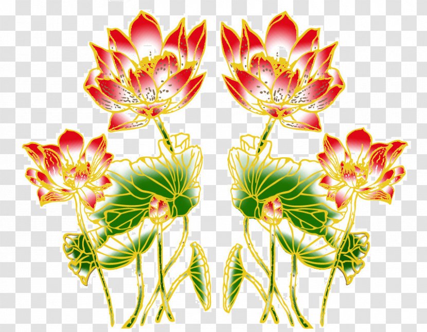 Download - Chrysanthemum - Chrysanths Transparent PNG