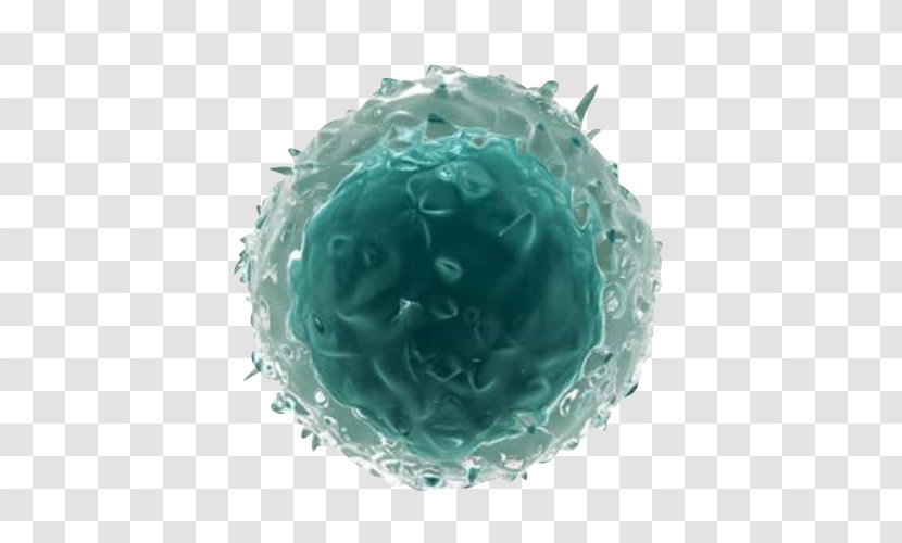 Green - Ball - Langhans Giant Cell Transparent PNG