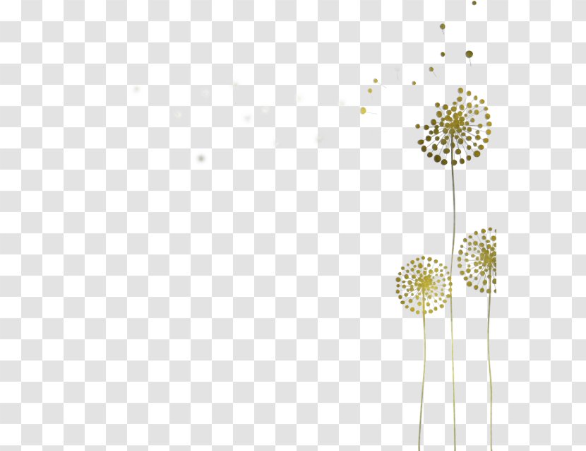 Dandelion Flower Plant Line - Wildflower Pedicel Transparent PNG