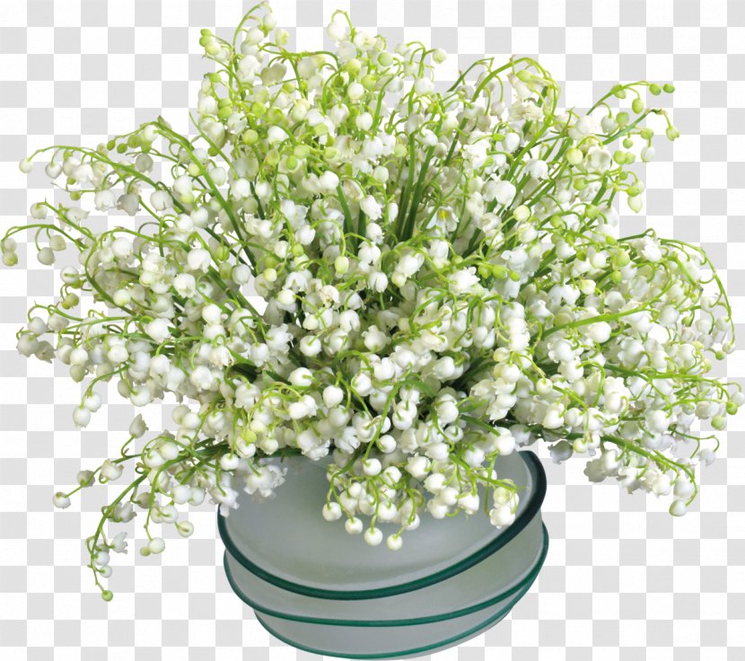 Flower Blog - Email - Lily Of The Valley Transparent PNG