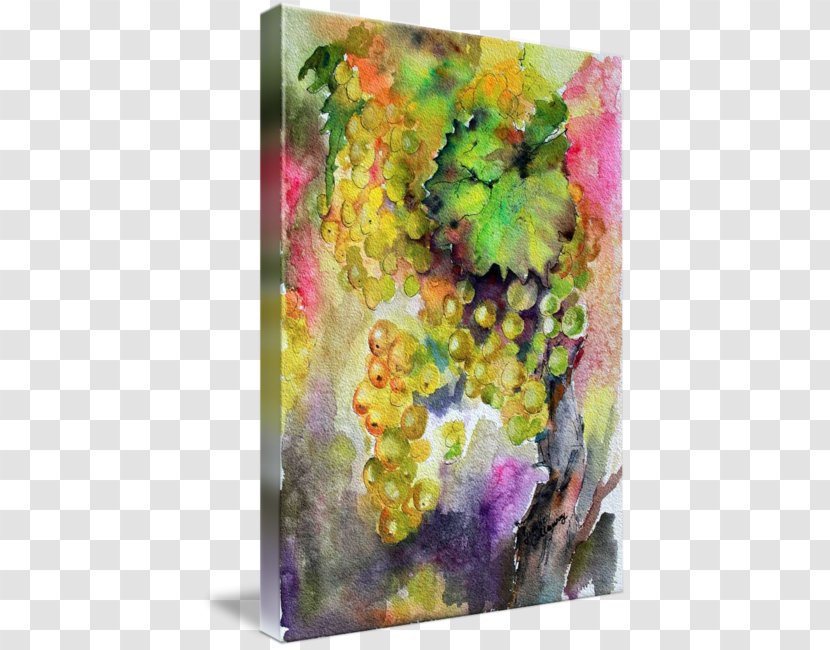 Common Grape Vine Watercolor Painting White Wine - Flowering Plant Transparent PNG