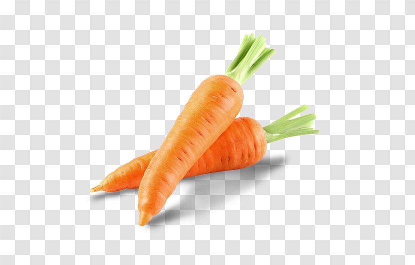 Organic Food Carrot Moroccan Cuisine Vegetable - Bunch Transparent PNG