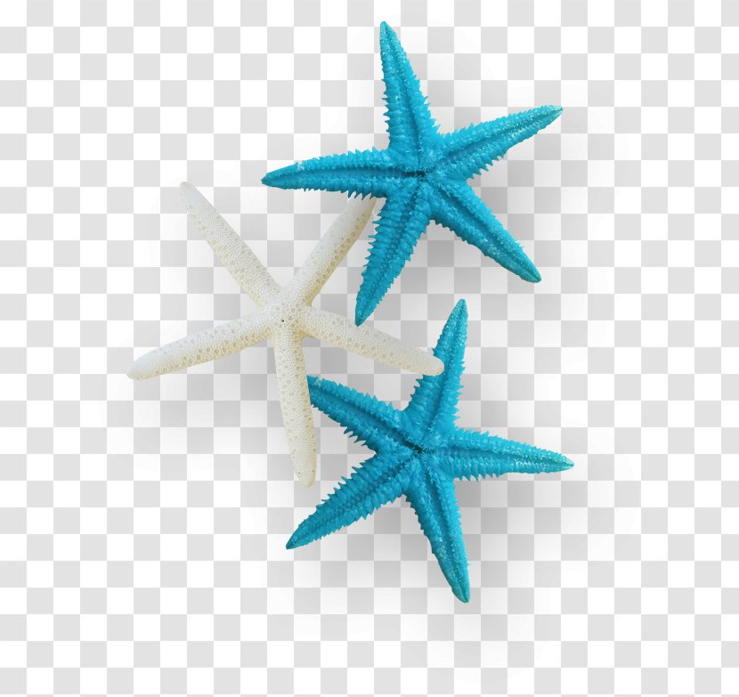 Starfish Sea Clip Art - Flowers Texture Transparent PNG