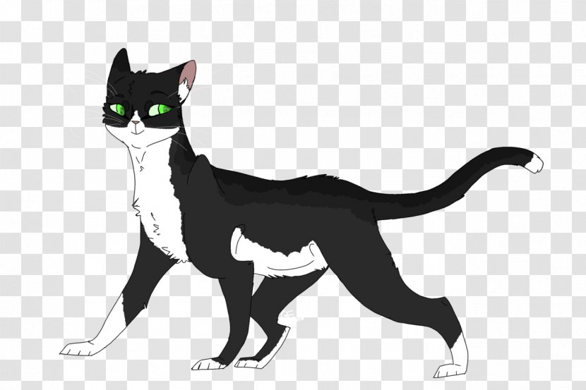 Whiskers Domestic Short-haired Cat Dog Black - Like Mammal - Five Siblings For Adoption Transparent PNG