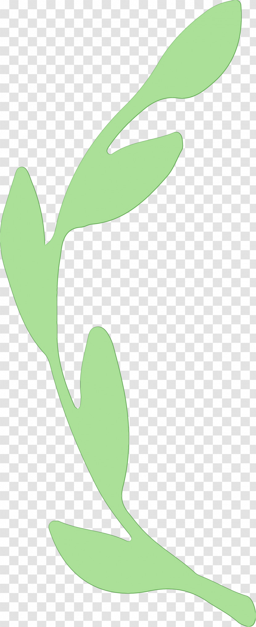 Leaf Plant Stem Green Flower M-tree Transparent PNG