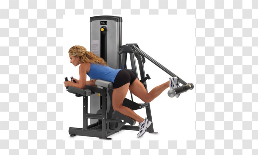 Exercise Machine Equipment Fitness Centre Gluteus Maximus Muscle - Watercolor Transparent PNG