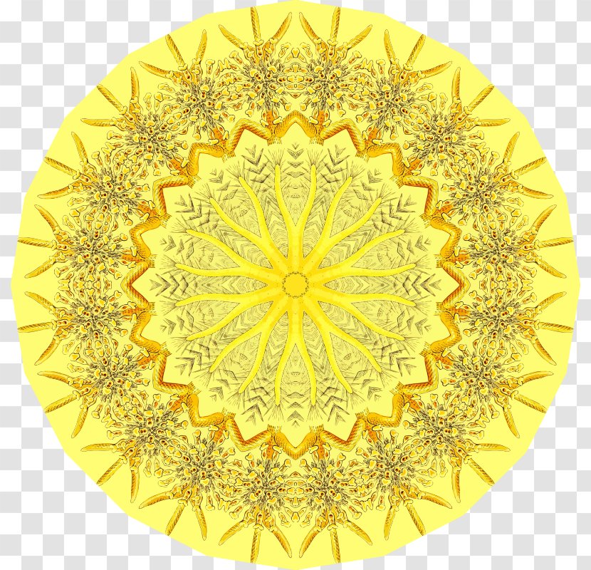 Bajoran Vector Graphics Design Drawing Illustration - Kaleidoscope - Wiki Transparent PNG