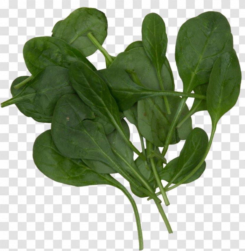 Smoothie Spinach Leaf Vegetable Food Komatsuna - Plant - Spring Greens Transparent PNG