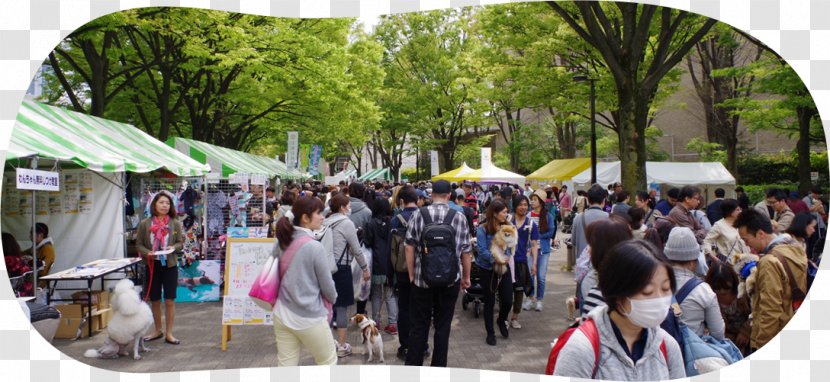 Chihuahua Dobermann Siberian Husky German Shepherd Yoyogi Park - Dog - Carnival Theme Transparent PNG