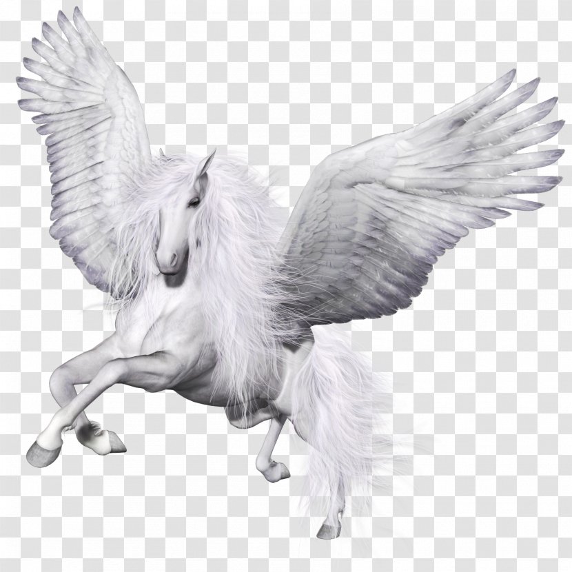 Winged Unicorn Pegasus Horse Pillow Transparent PNG