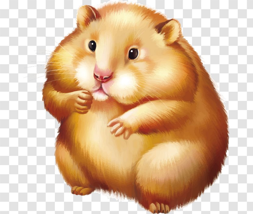 Golden Hamster Mouse Rodent Transparent PNG