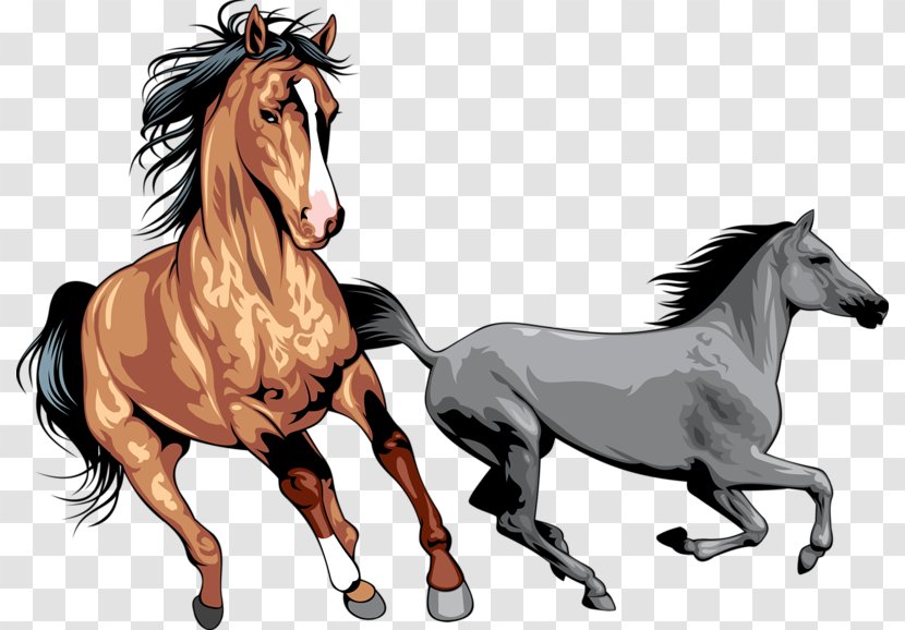 Mustang Wild Horse Clip Art - Mammal - Galloping Horses Transparent PNG