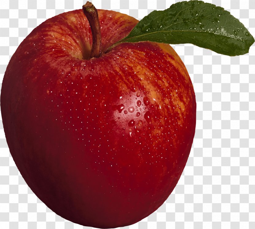 Apple Fruit - Mcintosh - Red Dates Transparent PNG