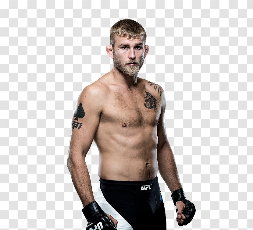 Alexander Gustafsson UFC 192: Cormier Vs. Fight Night 109: Teixeira Light Heavyweight Mixed Martial Arts - Flower - Brock Lesnar Transparent PNG