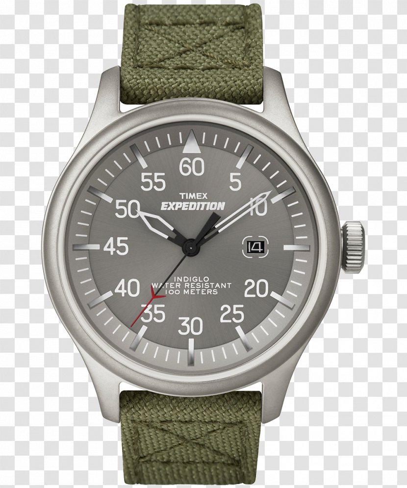 Watch Timex Group USA, Inc. Men's Expedition Field Chronograph Indiglo Scout Transparent PNG