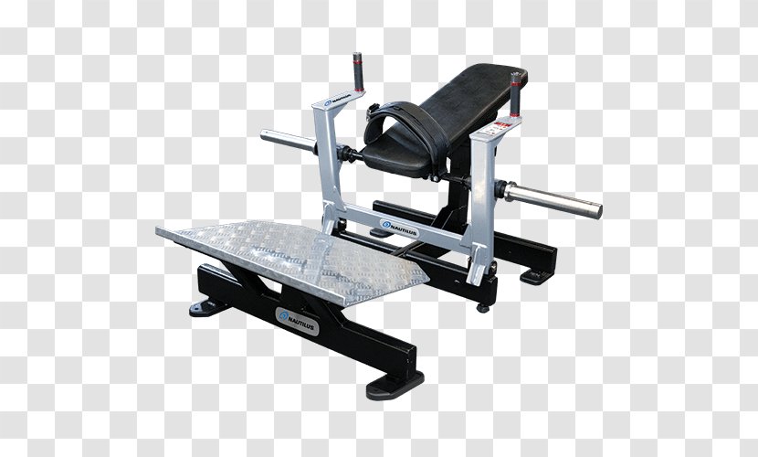 Gluteus Maximus Exercise Equipment Fitness Centre Leg Press - Machine - Glute Bridge On Bench Transparent PNG