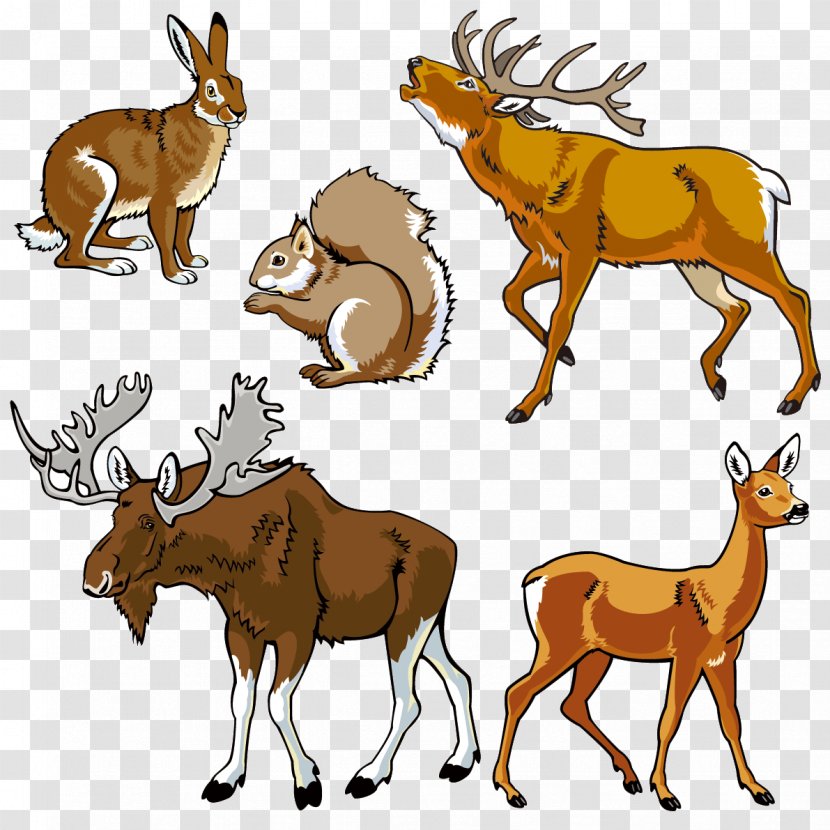 Vector Graphics Graphic Design Clip Art Illustration - Drawing - Wildlife Track Transparent PNG