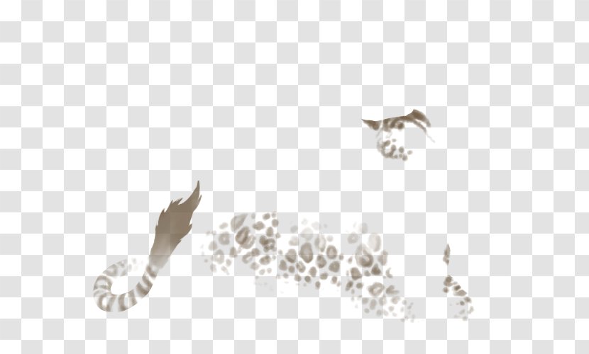Black Panther Lion Leopard White Cat Transparent PNG