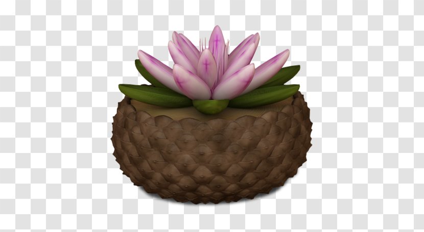 Flower Nelumbo Nucifera - Flowerpot - A Lotus Leaf Material Transparent PNG