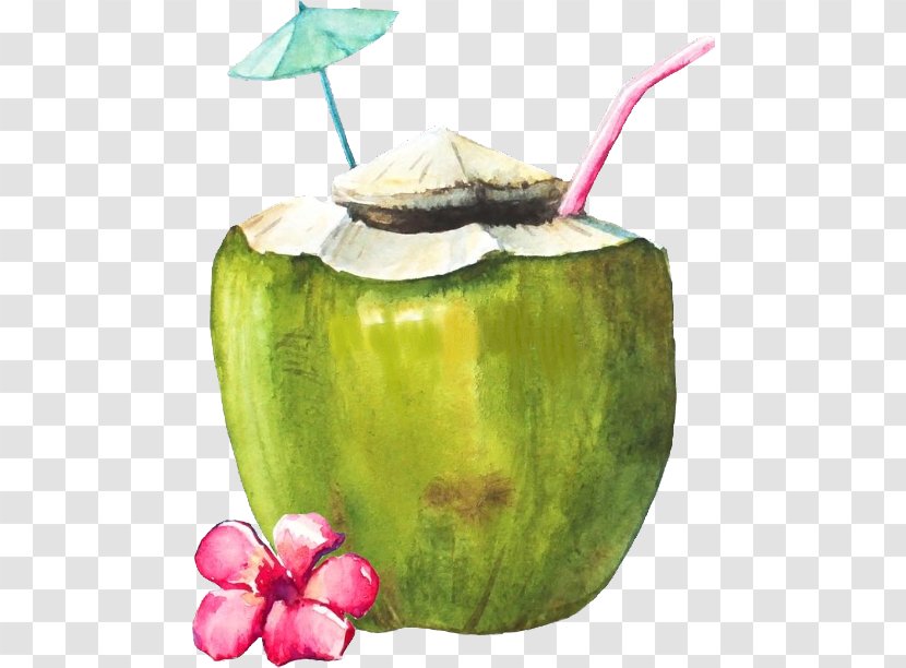 Watercolor Plant - Coconut Water - Juice Transparent PNG