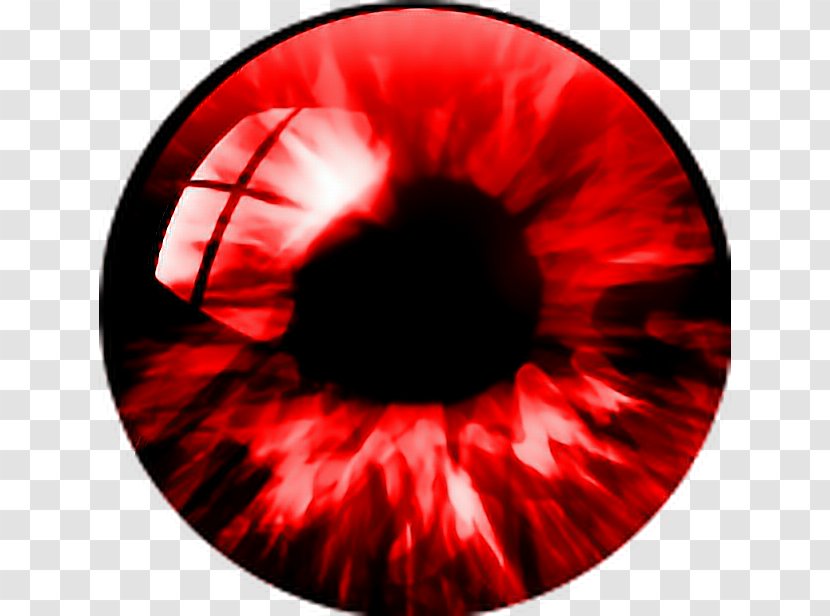 Clip Art Human Eye Pupil - Silhouette Transparent PNG