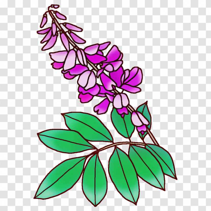 Floral Design Transparent PNG