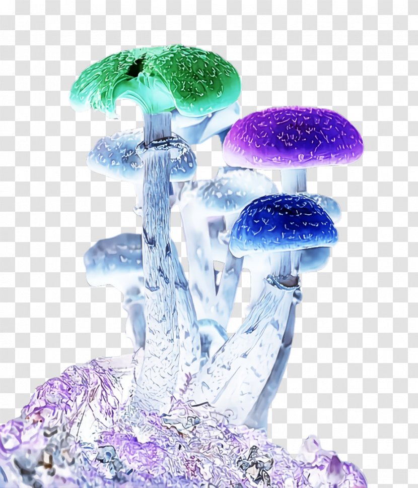 Purple Violet Mushroom Plant Liquid Transparent PNG