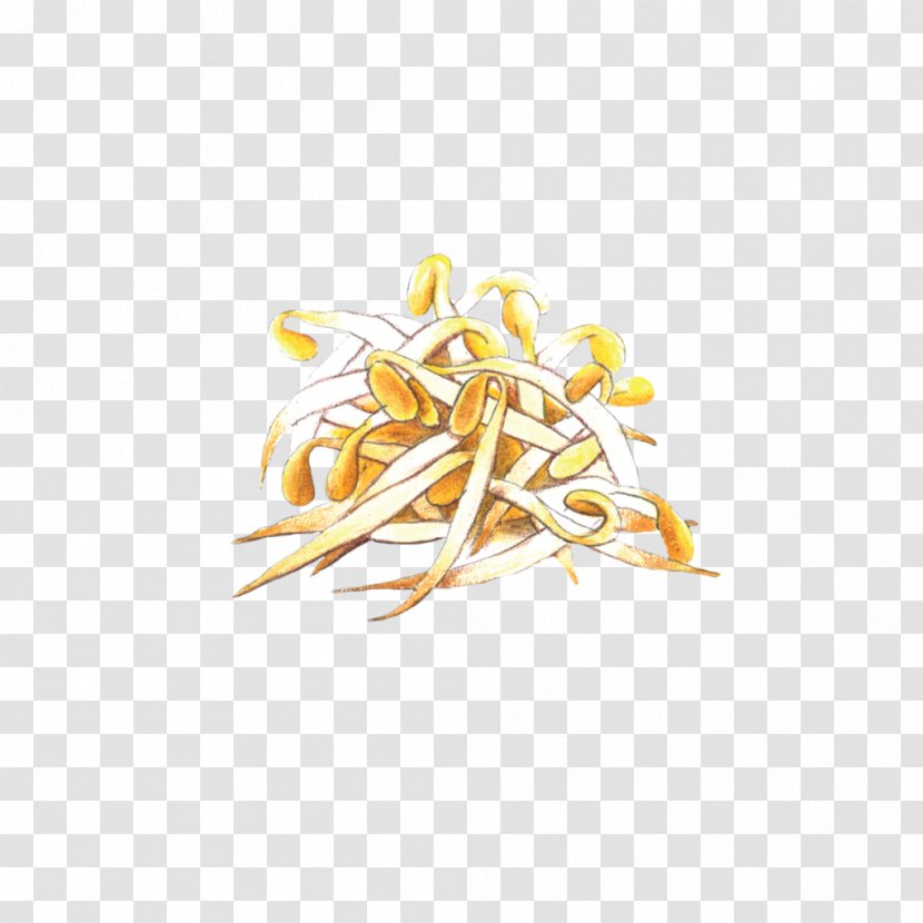 Commodity Shoot Bean Sprout - Food - Authentic Ramen Toppings Transparent PNG