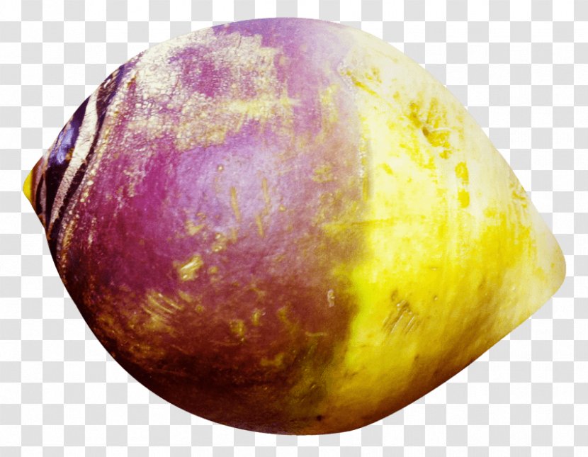 Rutabaga Turnip Red Cabbage - Root Vegetables Transparent PNG