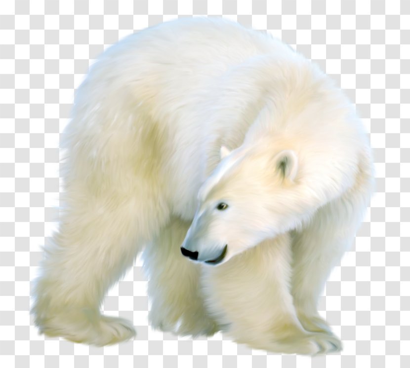 Polar Bear Brown - Heart - White Transparent PNG
