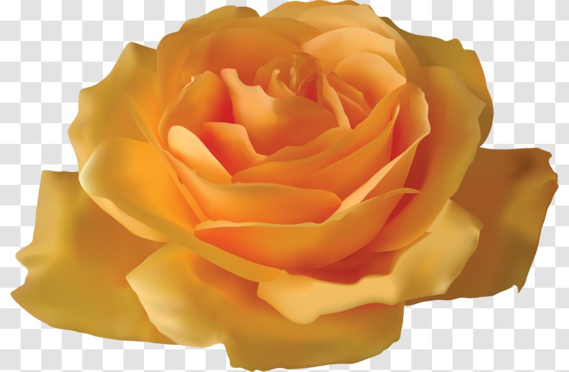Rose Yellow Flower Clip Art - Order - Creative Decorative Floral Design Transparent PNG