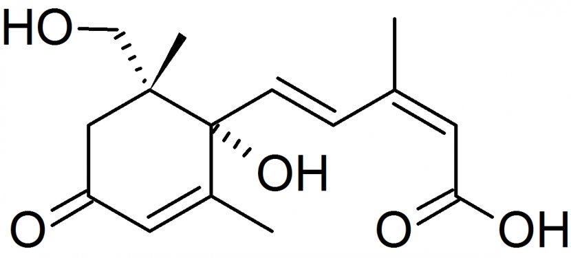 2-Nitrobenzaldehyde 4-Nitrobenzaldehyde 3-Nitrobenzaldehyde Hydroxy Group Substituent - Diagram - Sigmaaldrich Transparent PNG