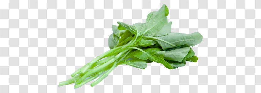 Spinach Leaf Vegetable Food Transparent PNG