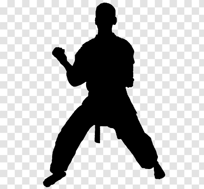 Taekwondo Cartoon - Punch - Xing Yi Quan Kung Fu Transparent PNG