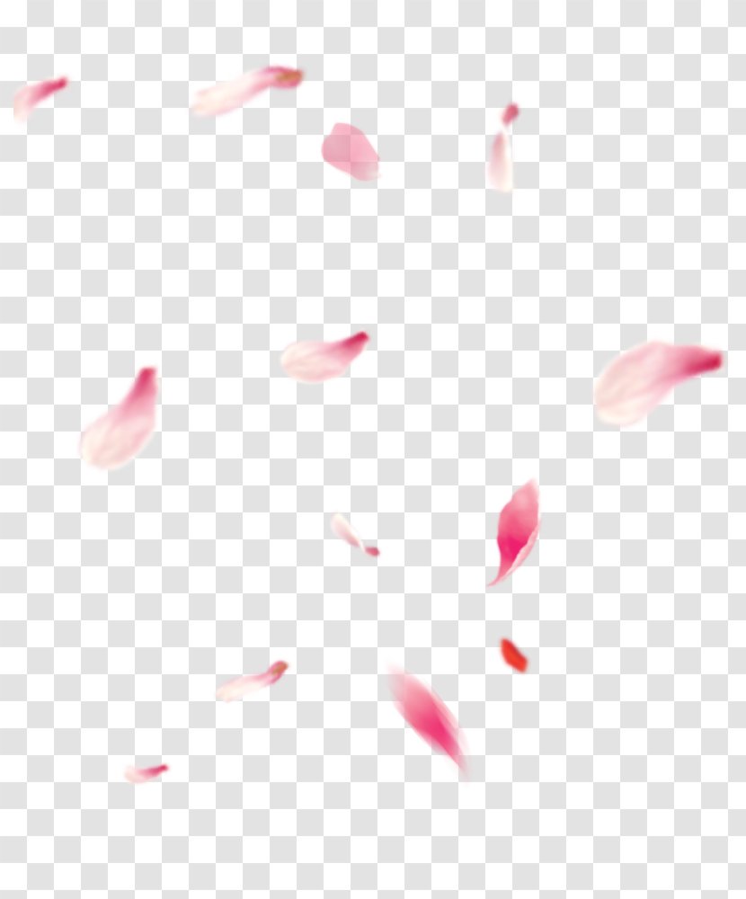 Adobe Photoshop Design Image Sakura No Hanabiratachi - Bang Transparent PNG