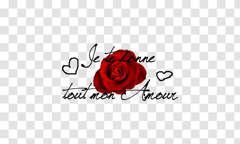Love Valentine's Day Greeting & Note Cards Garden Roses Skyrock - Wordart Kuangshuai Transparent PNG