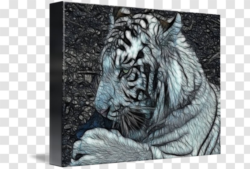Tiger Cat Whiskers Gallery Wrap Drawing - White Transparent PNG