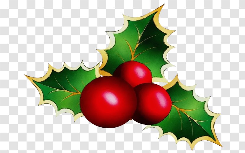 Christmas Tree Watercolor - Email - Currant Fruit Transparent PNG