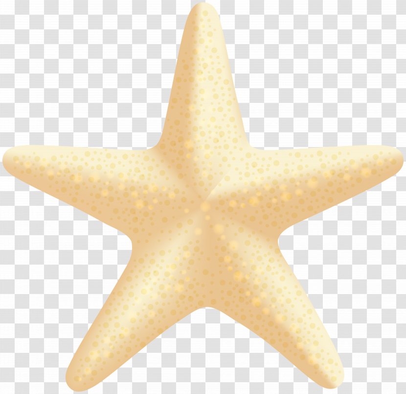 Starfish - Fish - Sea Star Clip Art Image Transparent PNG