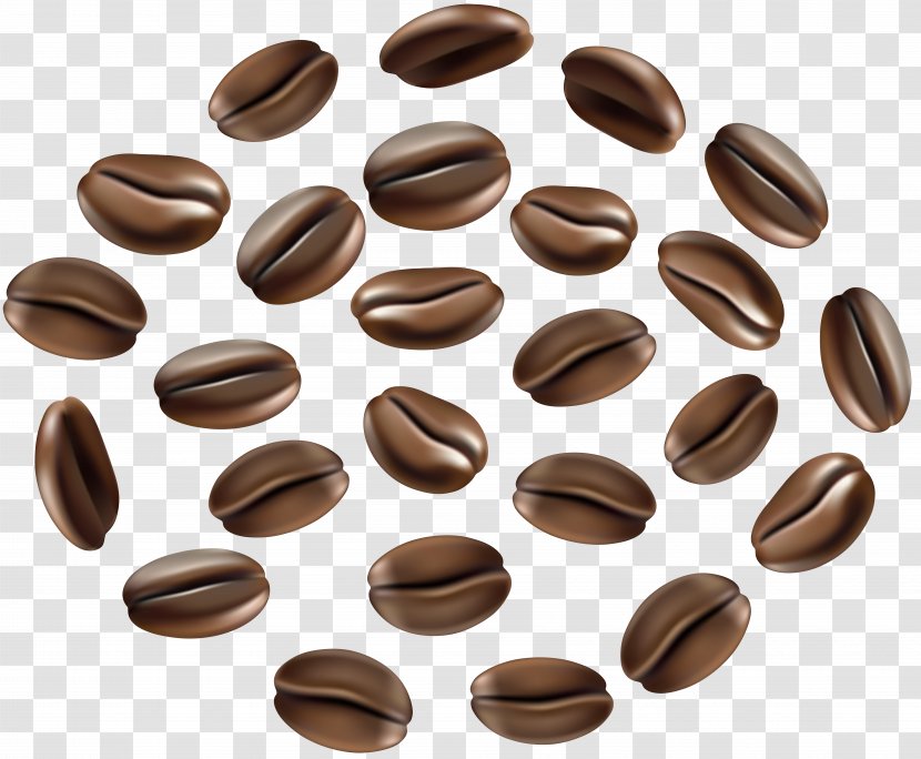 Single-origin Coffee Cafe Bean - Nuts Seeds Transparent PNG