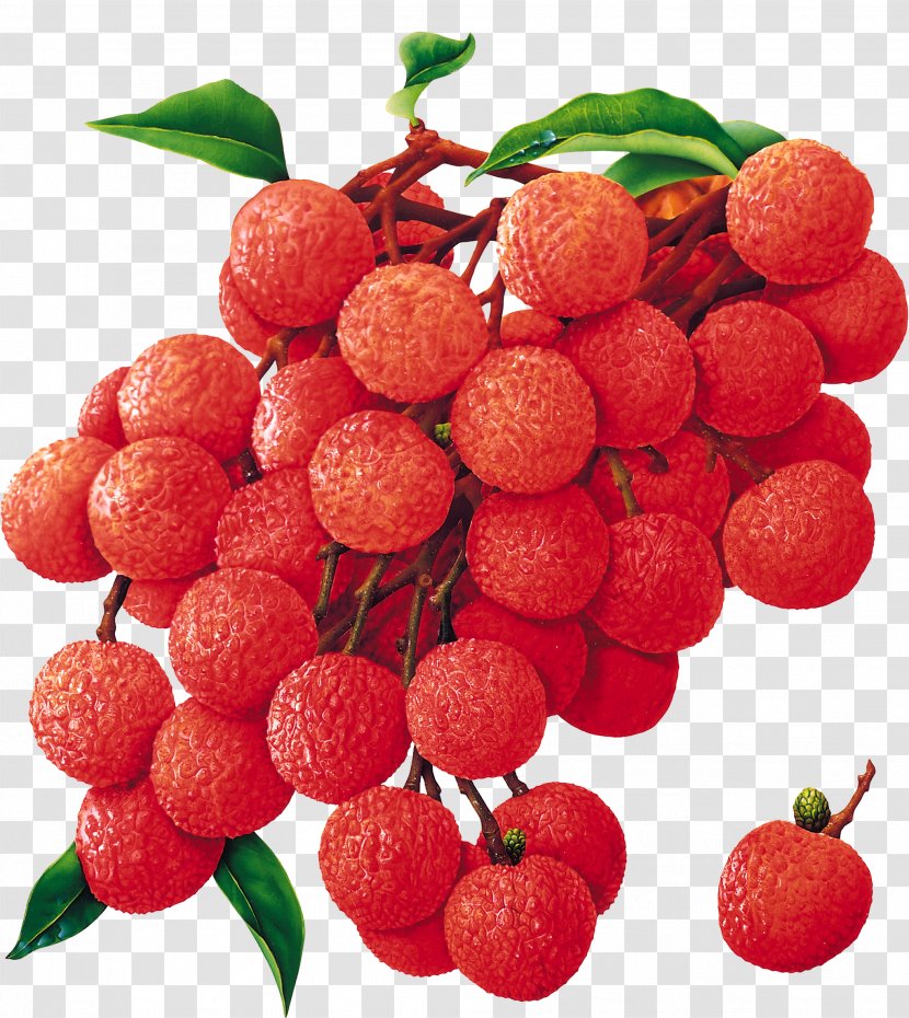 Tropical Fruit Tree China 3 Lychee Food - Coloring Transparent PNG