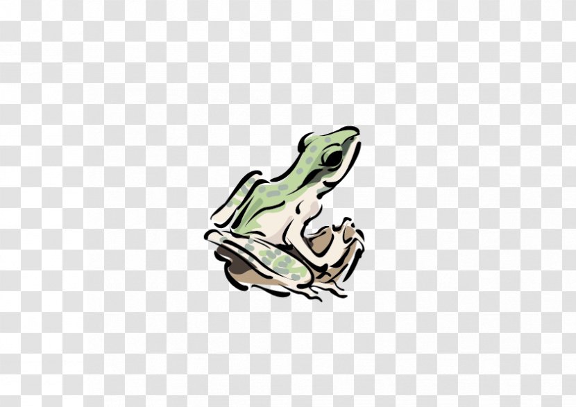 Frog Cartoon - Drawing Transparent PNG