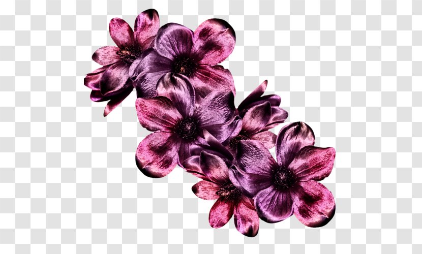 Petal Floral Design Flowering Plant Transparent PNG