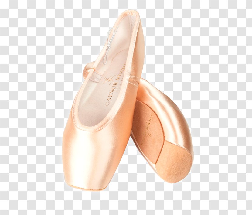 Ballet Flat Pointe Shoe Gaynor Minden Dance - Cartoon Transparent PNG