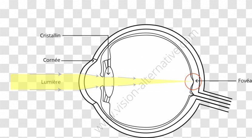 Line Technology Angle Font - Rim Transparent PNG